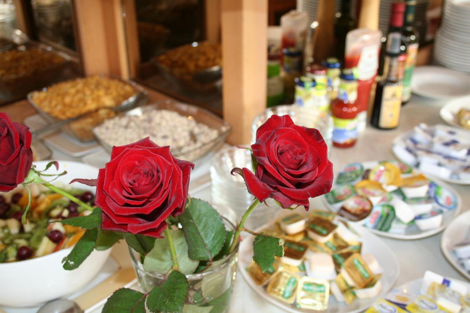 Hotel Shawi Erzhausen Dış mekan fotoğraf